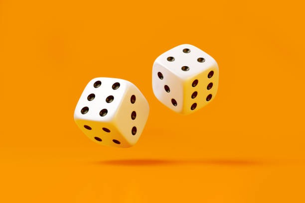 bola singa Bingo